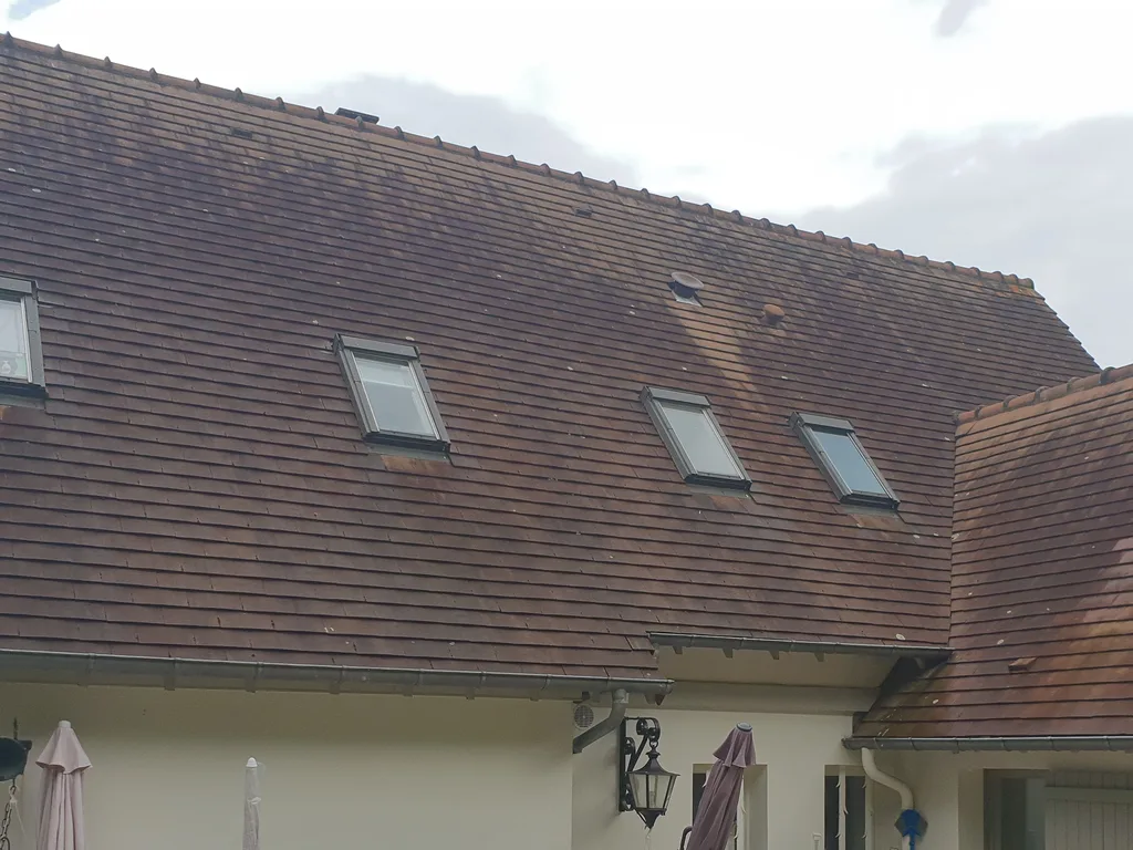 Toiture à démousser prise en charge par Maison Dallau à Voves